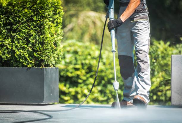 Best Sidewalk and Walkway Cleaning  in Wadsworth, OH